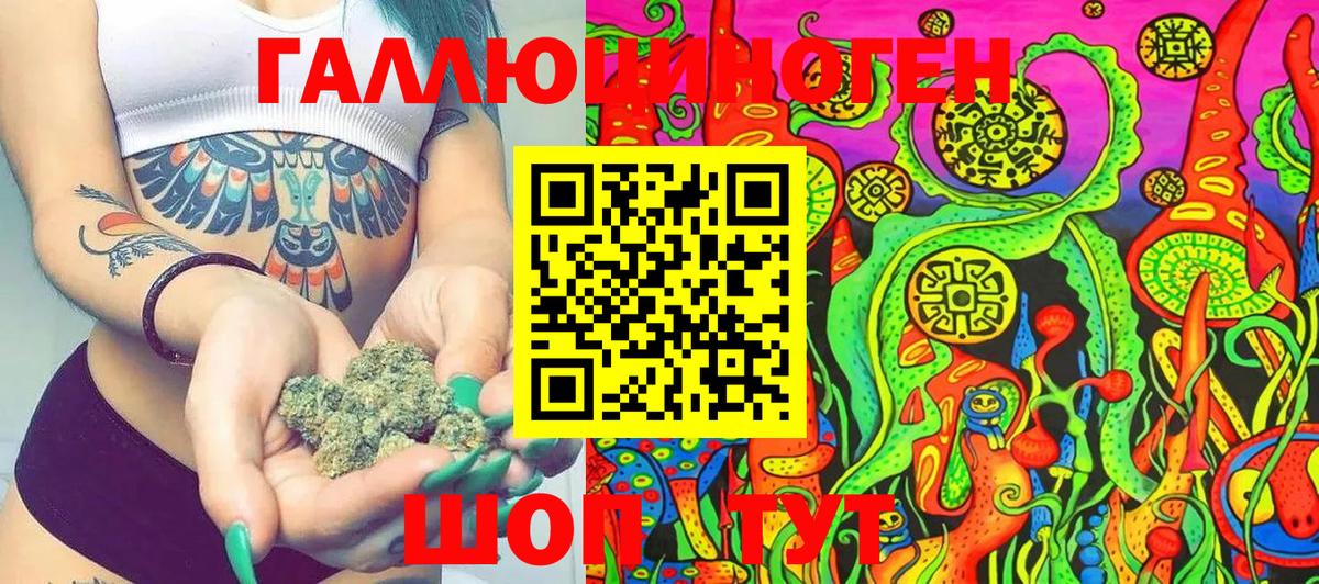 Чебоксары  Галлюциногенные грибы Cubensis  Вход с VPN 