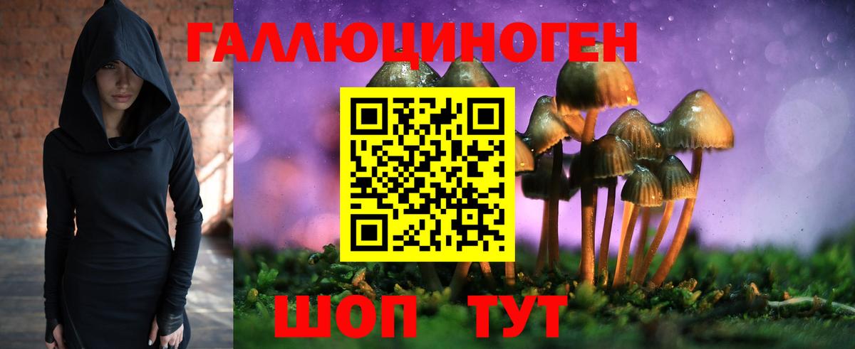 Галлюциногенные грибы прущие грибы Чебоксары